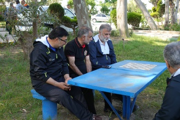 همایش پیاده روی