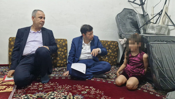 بوشهر