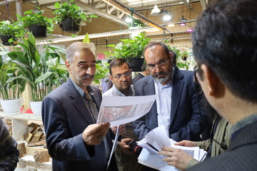 تهران