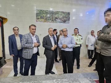 بوشهر