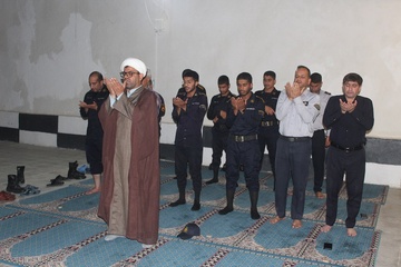 دشتی