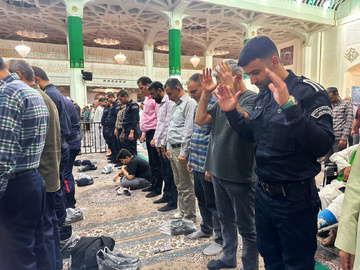 البرز