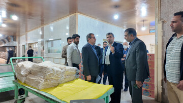 البرز