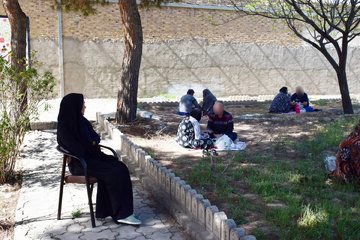 البرز