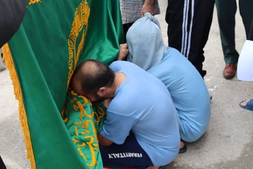 تهران
