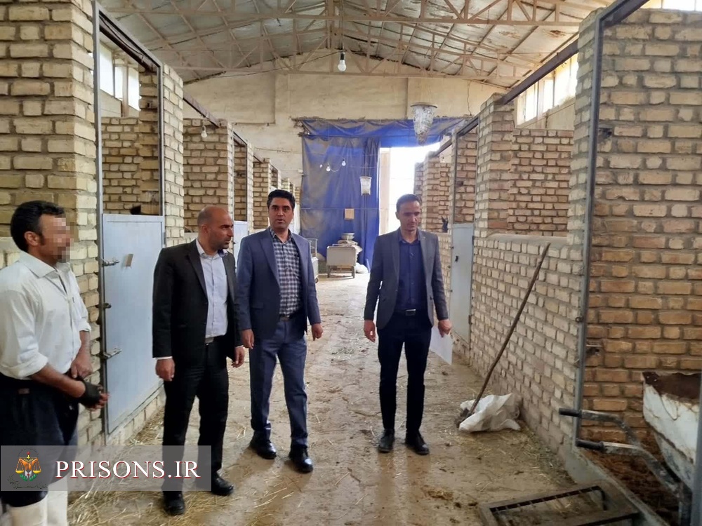 بازدید سرزده دادستان تفرش از محل اشتغال زندانیان رأی‌باز و حضور و غیاب چهره‌به‌چهره