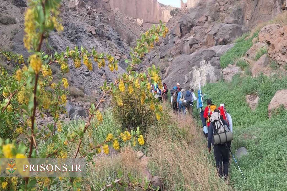 صعود گروه کوهنوردی کارکنان زندان‌های استان سیستان و بلوچستان به قله تفتان خاش