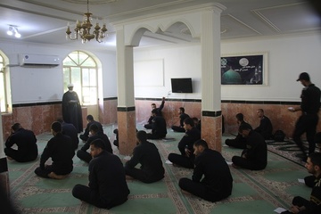مرکزی بوشهر