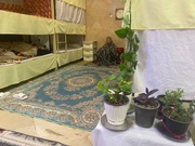 هزینه تاج گل مراسم ترحیم، صرف آزادی زندانی ندامتگاه زنان شد
