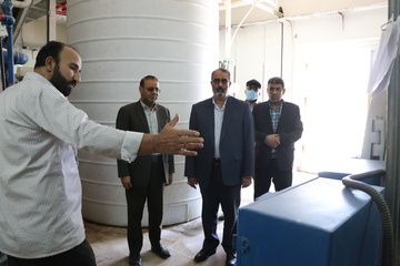 بازدید