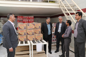 بازدید