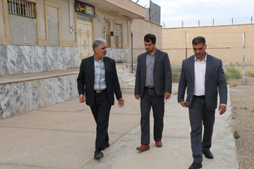 بازدید