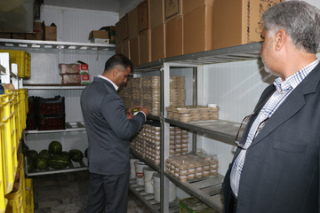 بازدید