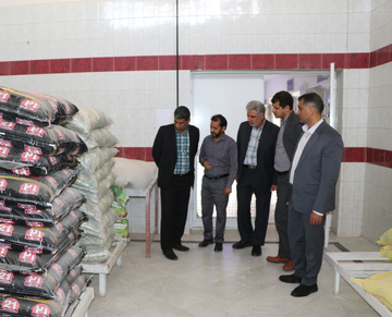 بازدید