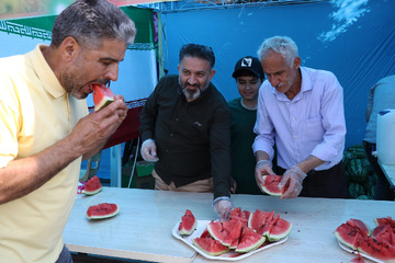 البرز